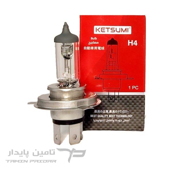 لامپ گرد KETSUMI - P45 100/90