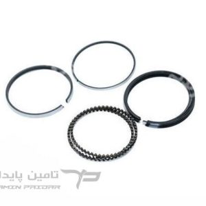 رینگ موتور روآ سایز استاندارد استیدی - RIK