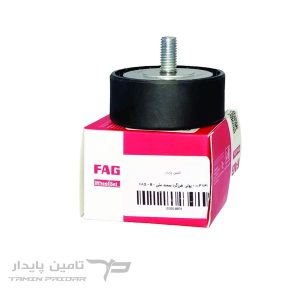 پولی هرزگرد سمند ملی دینام (FAG - (B
