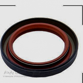 PhotoshopExtension_Image (36)