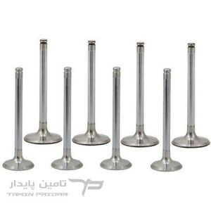 سوپاپ پژو 206 تیپ 2 SUNEX - (TU3)