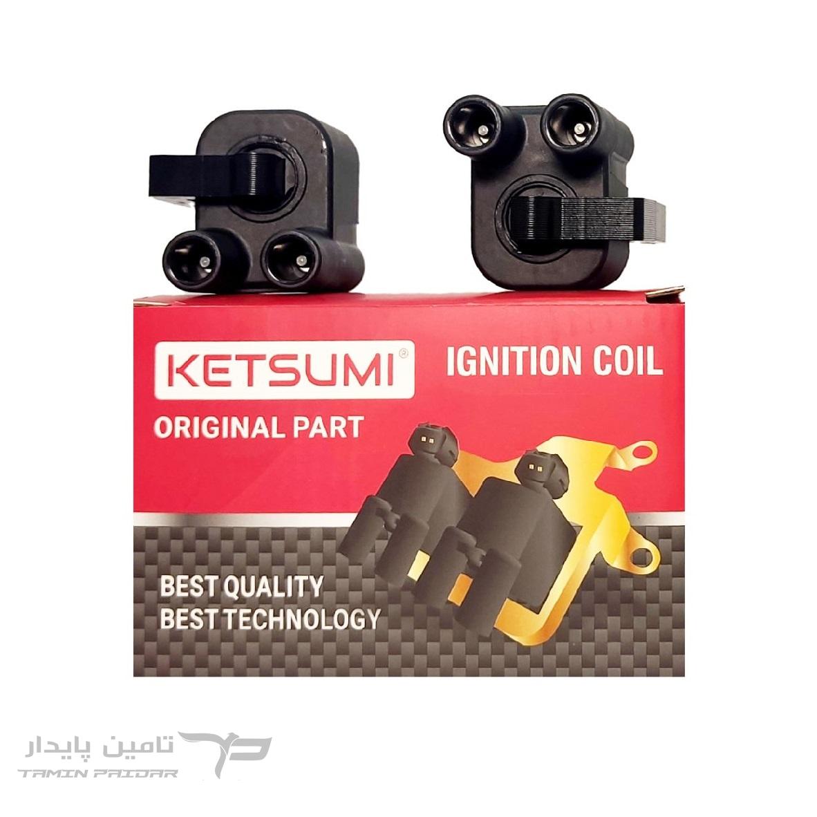 کویل پژو 405 (XU7) / روآ زیمنس بدون براکت - KETSUMI